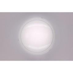 Настенно-потолочный светильник Citilux CL917081 Lajn