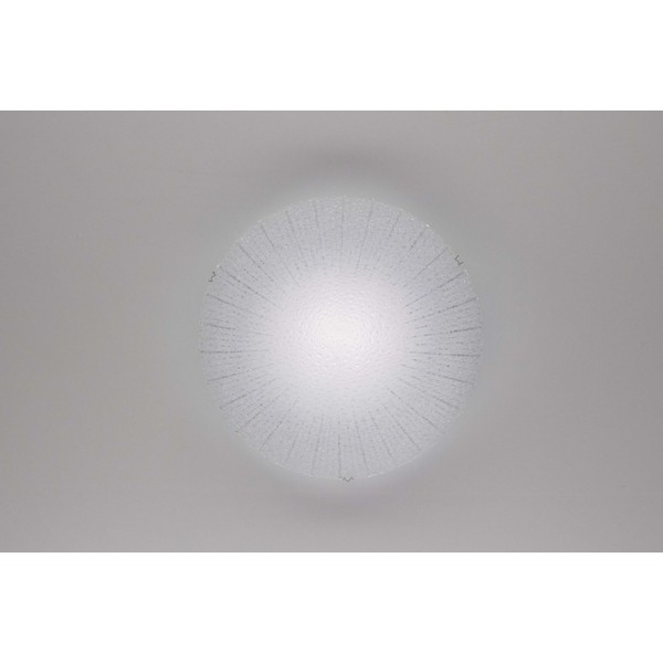 Настенно-потолочный светильник Citilux CL918002 Luchi