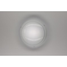 Настенно-потолочный светильник Citilux CL918081 Lajn