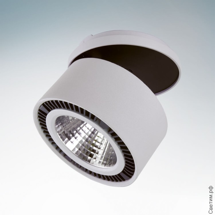 Светодиодный точечный светильник 214809 Forte