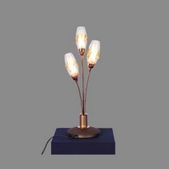 Интерьерная настольная лампа Amber CL201835 Citilux