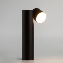 Настольная лампа Eurosvet 80425/1 черный Premier
