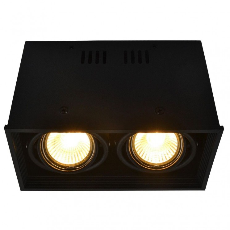 Потолочный светильник Artelamp Cardani A5942PL-2BK