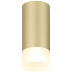 Точечный светильник Leon IL.0005.4800 MG